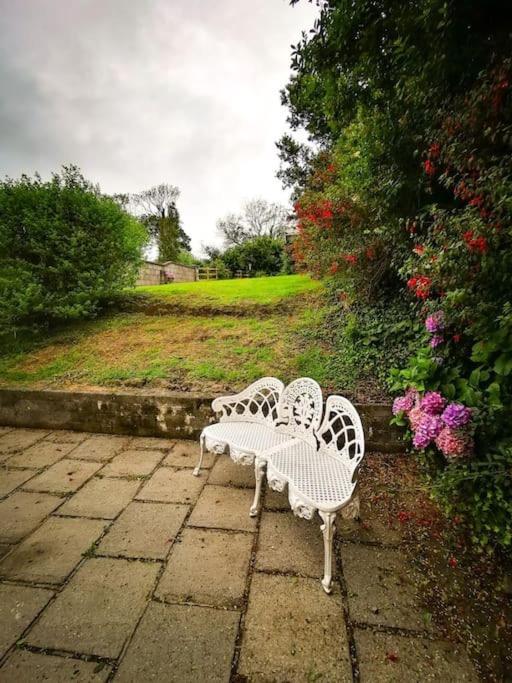 Orchard Cottage Dingle Exterior photo